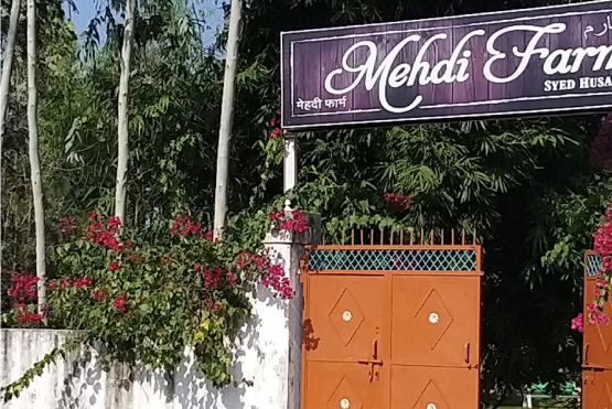 Mehdi Farm