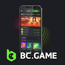 Exploring the Exciting World of BC Game VC Casino